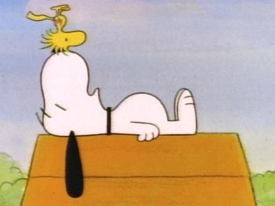 cn_character_img_pc_1317404043.jpg